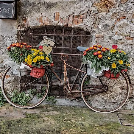Bed & Breakfast Profumo Di Dolci Toirano